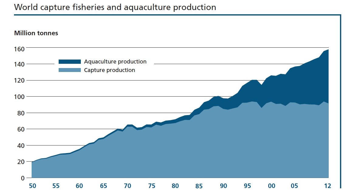 The State of World Fisheries and Aquaculture 2014 - Source: United Nations