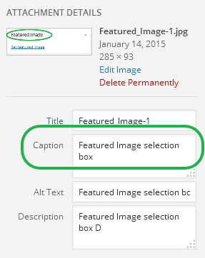 Text shown for Featured Images