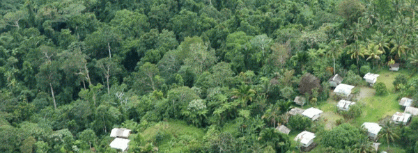 A jungle village on Bougainville, 2005 - Lloyd Jones, AAP